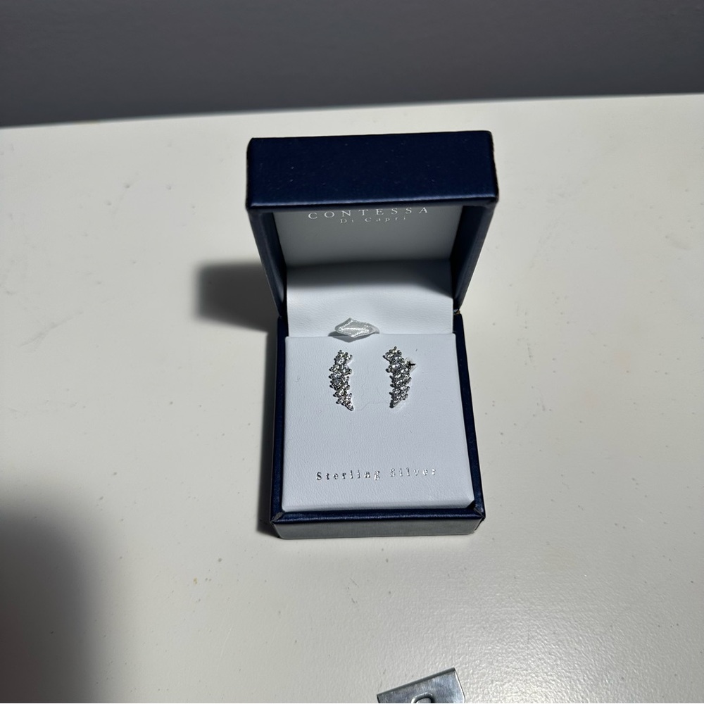 Sterling Silver Earrings